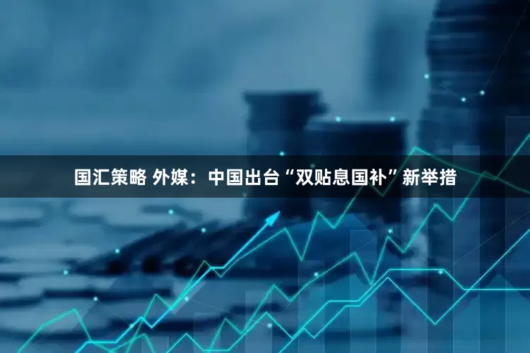 国汇策略 外媒：中国出台“双贴息国补”新举措