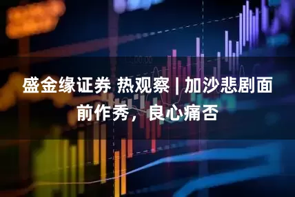 盛金缘证券 热观察 | 加沙悲剧面前作秀，良心痛否