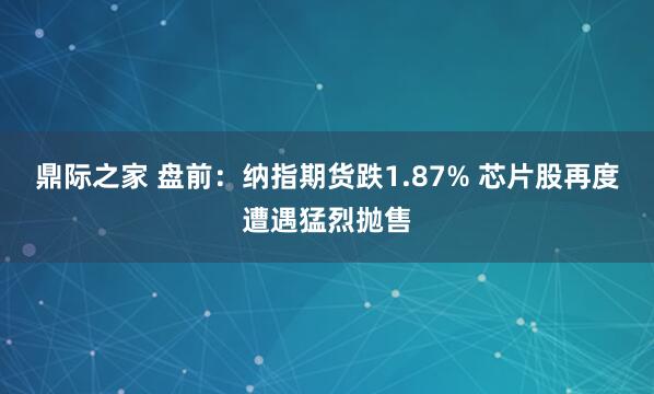 鼎际之家 盘前：纳指期货跌1.87% 芯片股再度遭遇猛烈抛售