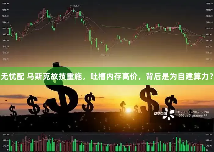 无忧配 马斯克故技重施，吐槽内存高价，背后是为自建算力？